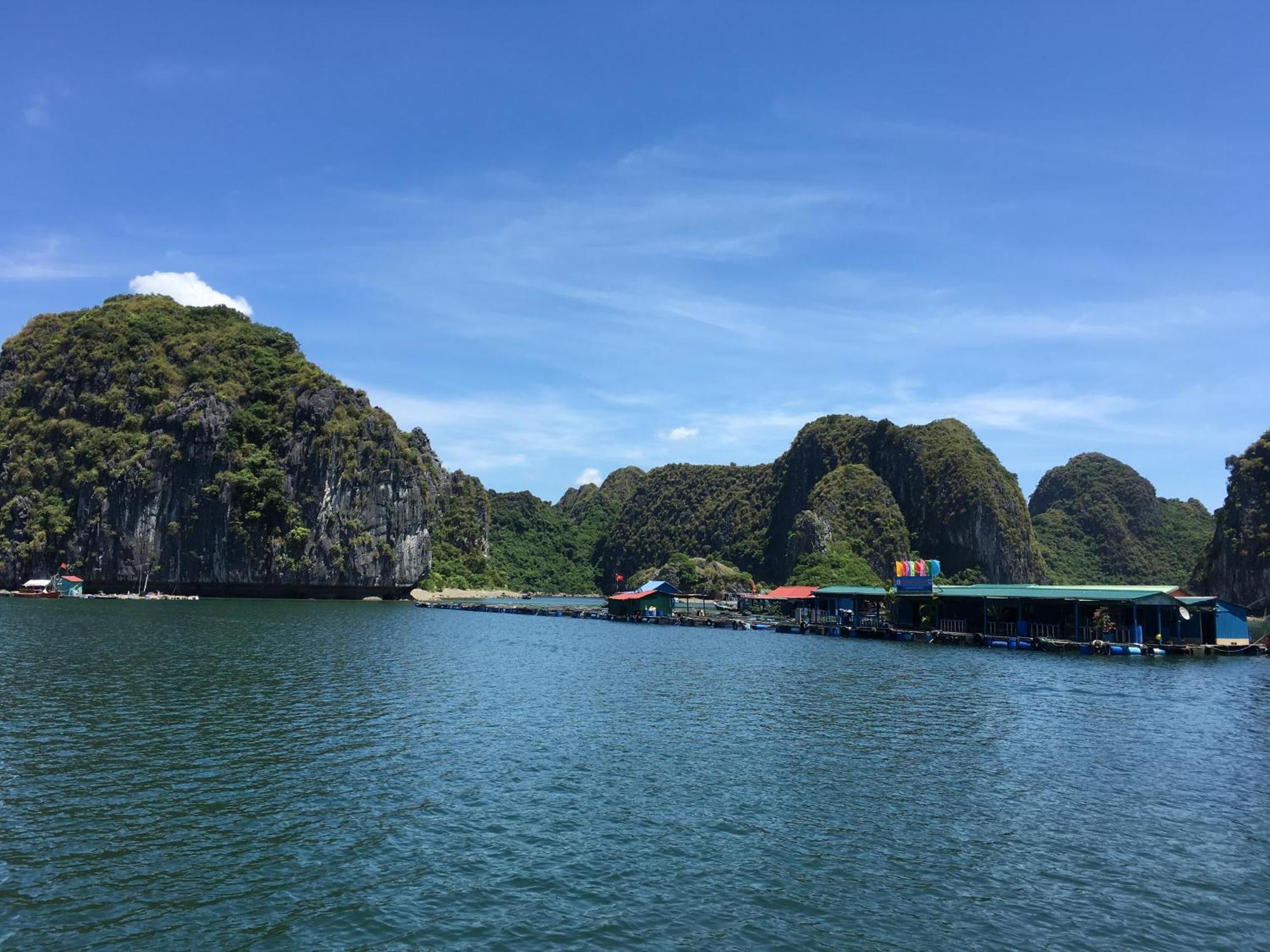 Cat Ba Bay Cruises Hotell Dong Khe Sau Exteriör bild